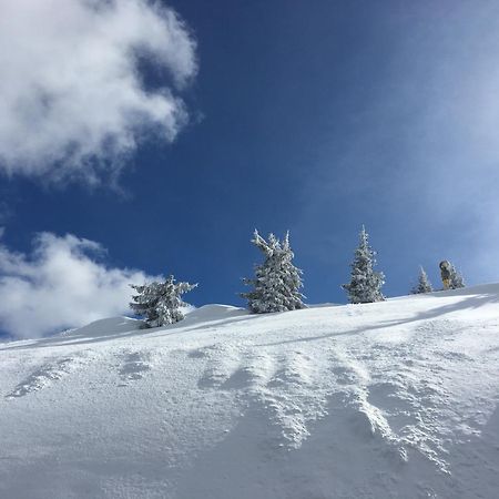 Appartement 4You Schladming Εξωτερικό φωτογραφία